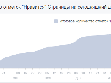 Интервью с Русланом Хабибуллиным: «В декабре общий доход с проекта был 1100$!»